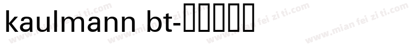 kaulmann bt字体转换